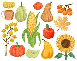 Set of autumn fruits and vegetables. Isolated elements for design on a white background. Vector drawing
