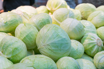 Group of green cabbages in a supermarket, Cabbage background, Fresh cabbage from farm field, a lot of cabbage at market place. close-up of fresh white cabbage
