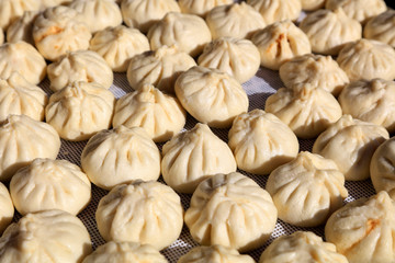 Chinese traditional pasta meat dumplings
