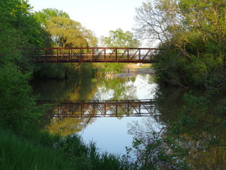 Brücke mit Spiegelung im Wald