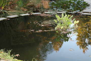 Jardim Botânico do Porto