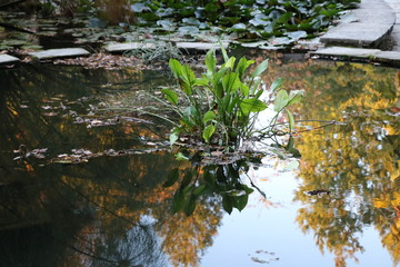 Jardim Botânico do Porto