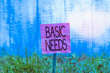 Conceptual hand writing showing Basic Needs. Concept meaning something that you must have in order...