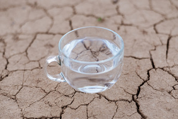 Concept of thirst, dehydration, lack of water. A cup of water on cracked dry ground.