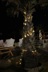 marriage on the beach