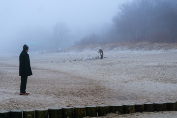 woman feeds swarm of gulls on the beach in poland