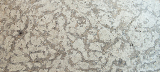 Limestone polished texture sample at geological laboratory. Stone samples at geological laboratory. Geology rock laboratory. Laboratory for the analysis of geological soil materials, stones, minerals