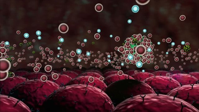 Coronavirus and Antibody, antibodies kills the viruses, macrophage and virus, Medical video background