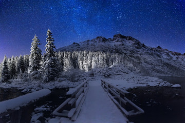 Winter starry night in the mountains.