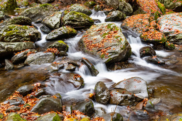 Fototapeta na wymiar Rocks in a Stream at Autumn Time