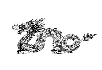 Graphical sketch of Chinese dragon isolated on white ,vector illustration 
