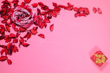 big red rose flower lies on a pink background in the petals. top view. Concept of St.Valentine's Day, anniversary, wedding, banner Copy space for inscriptions.
