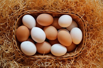 Chicken and quail eggs as a tradition for people to celebrate Easter