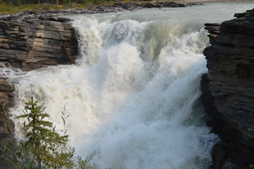 Athabasca Falls, Jasper, Canadian Rockies