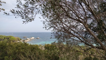 corse