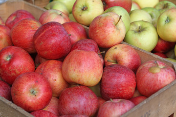 Äpfel auf dem Markt