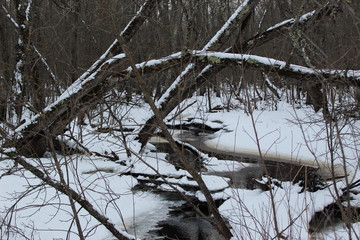 Winter Creek