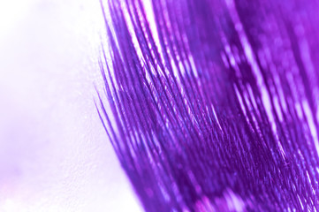 Purple Macro Feathers on Glass