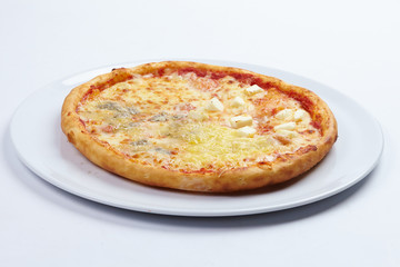tasty pizza on the white plate