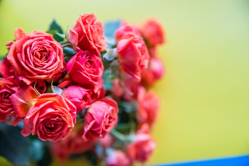 Roses background. Lot of beautiful tea roses,gently pink roses on colorful background.Bunch for event. 8 March, mother's day,Women's day. Floral present. Copy space