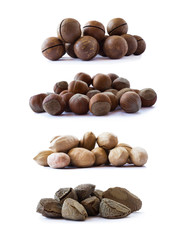 Pecans, macadamia, hazelnut and brazil nuts isolated on a white background. Studio shot of different nuts on white background. Heap of different nuts isolated on white.