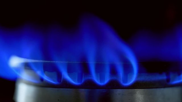 Gas Stove Burner Blue Flame. Kitchen gas cooker with burning fire propane gas