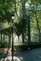 paseo en una mañana de otoño Parque de Maria Luisa