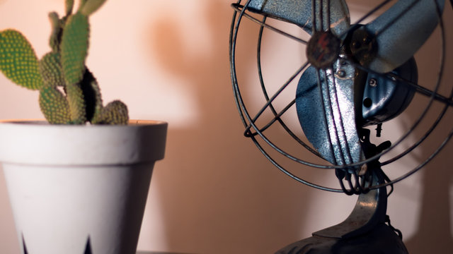 PRimer plano de un antiguo y oxidado ventilador pequeño junto a un cactus como objeto decorativo. Leve y tenue luz del sol sobre la escena.