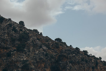 Mountains with forests, Crete