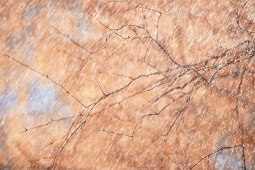 autumn rain background drops / abstract autumn landscape in rainy weather, seasonal landscape in the park