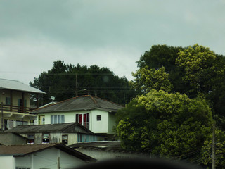 Casa entre as árvores