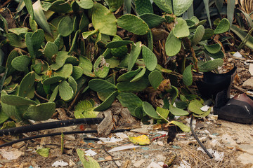 Nature and trash, HUMAN CONTAMINATION OF NATURE