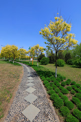 Fototapeta na wymiar Stone Roads and Greening Plants in Parks