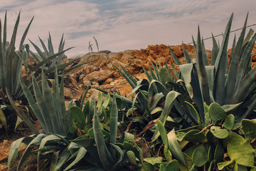 Nature and trash, HUMAN CONTAMINATION OF NATURE