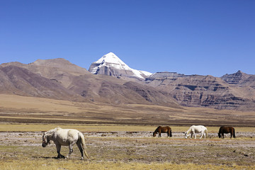 Sacred Mountain Kailas