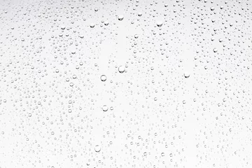 Foto op Plexiglas witte geïsoleerde achtergrond waterdruppels op het glas / nat vensterglas met spatten en druppels water en limoen, textuur herfst achtergrond © kichigin19