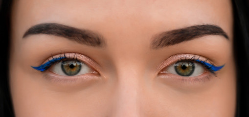 Fototapeta premium Perfect green eye with makeup. Phantom blue
