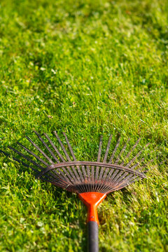 rateau pos&eacute; sur du gazon, de l'herbe verte dans un jardin. rake on grass, green grass in a garden.