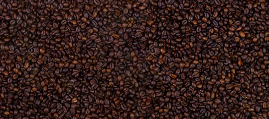 Macro photo of roasted coffee beans background, panorama banner 