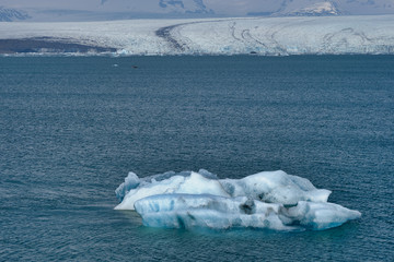 Glacier and calved ice and icebergs at the Jokulsarlon Lagoon in Iceland