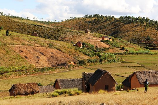 Madagascar Rural Houses