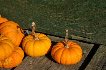 Tiny orange pumpkins on an old weathered wooden bench