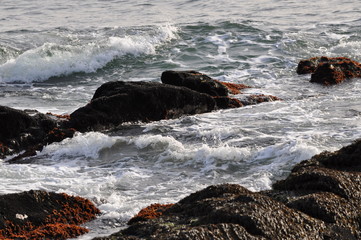 Sea water rocks