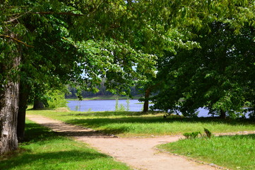 empty bench in the park