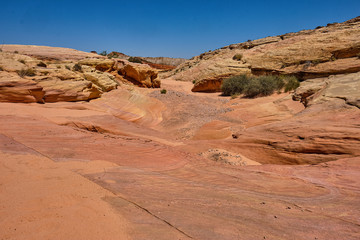 Fototapeta premium Dry gully in the Nevada desert surrounded by the colorful pink lined rocks