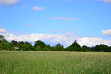 green field and blue sky