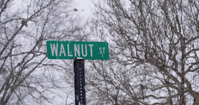 A closeup view of a green Walnut Street sign in a snowstorm. Pittsburgh suburbs.  	