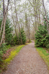 Fototapeta na wymiar View at Trail in Park in Vancouver, Canada.