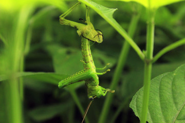 New life, new journey is coming