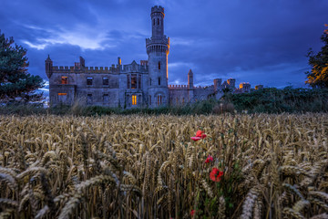 Old ruined 19th century Duckett Grove castle with field of wheat and stormy sky at blue hour,...